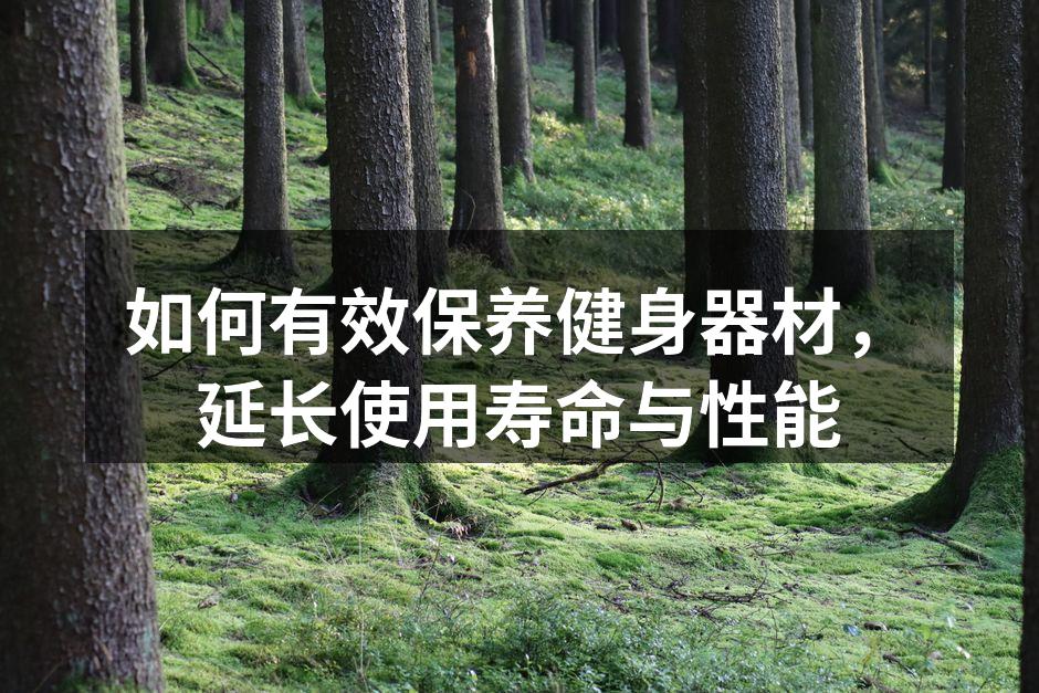 如何有效保养健身器材，延长使用寿命与性能