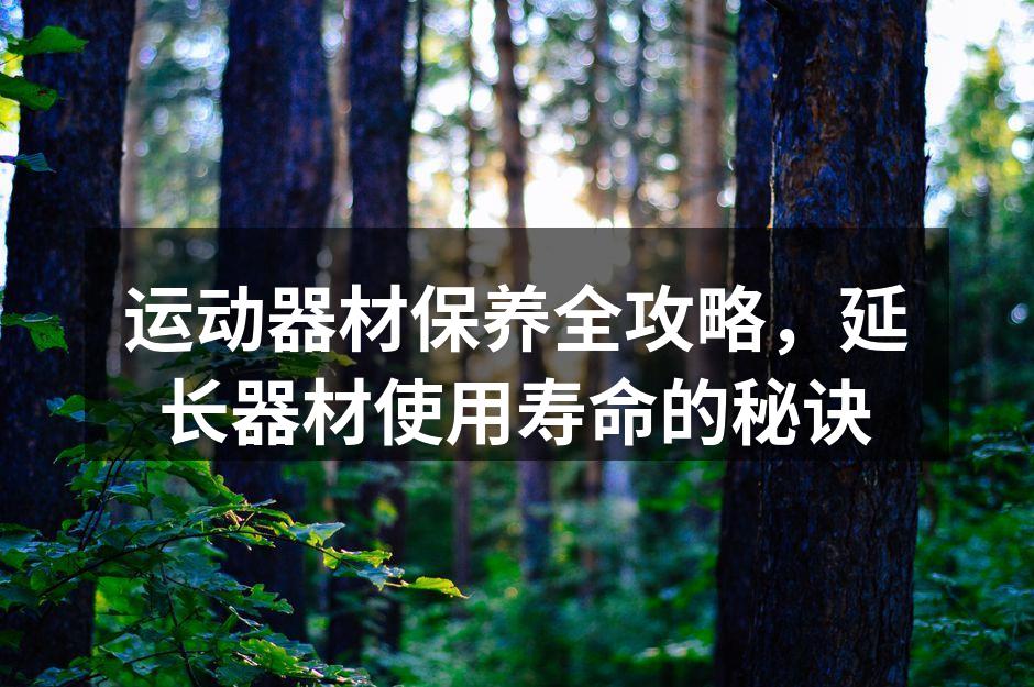 运动器材保养全攻略，延长器材使用寿命的秘诀
