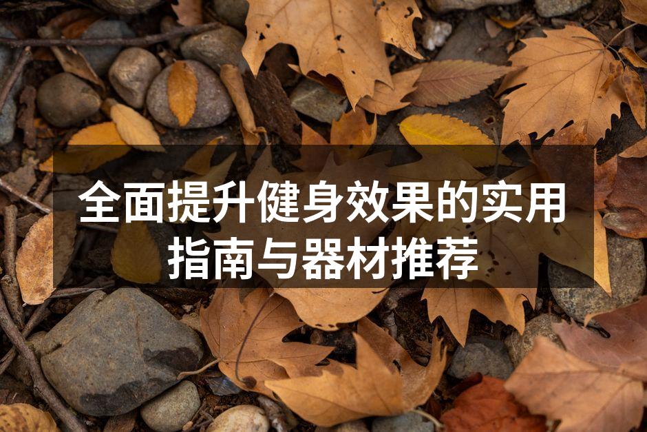 全面提升健身效果的实用指南与器材推荐